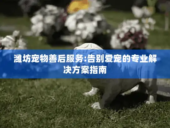 潍坊宠物善后服务:告别爱宠的专业解决方案指南