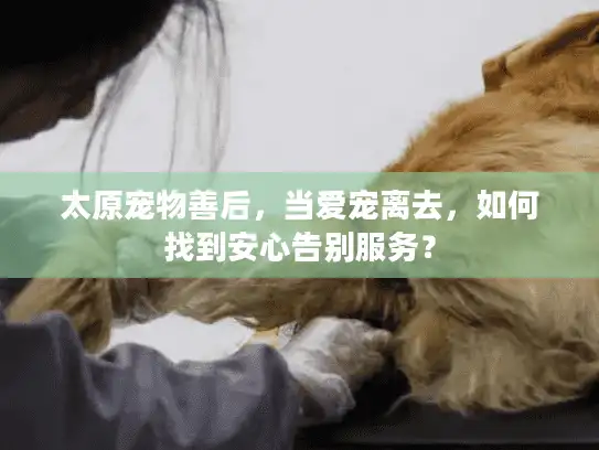 太原宠物善后，当爱宠离去，如何找到安心告别服务？