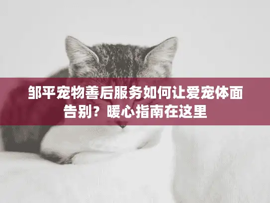 邹平宠物善后服务如何让爱宠体面告别？暖心指南在这里