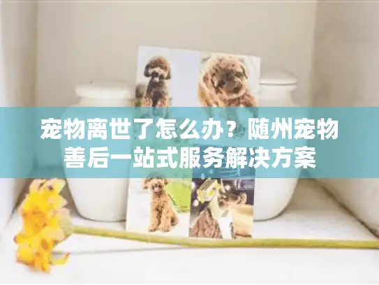 宠物离世了怎么办？随州宠物善后一站式服务解决方案