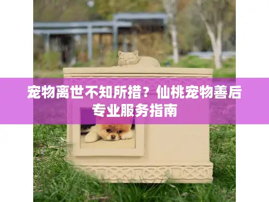 宠物离世不知所措？仙桃宠物善后专业服务指南