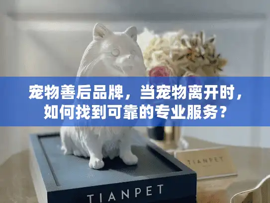 宠物善后品牌，当宠物离开时，如何找到可靠的专业服务？