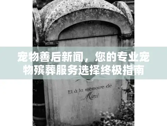 宠物善后新闻，您的专业宠物殡葬服务选择终极指南