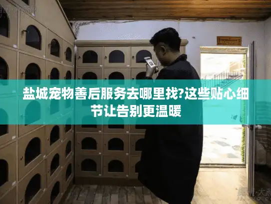 盐城宠物善后服务去哪里找?这些贴心细节让告别更温暖