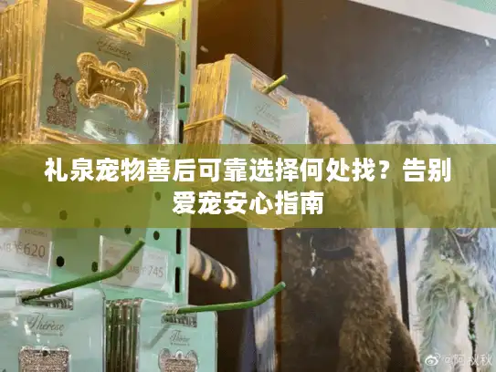 礼泉宠物善后可靠选择何处找？告别爱宠安心指南