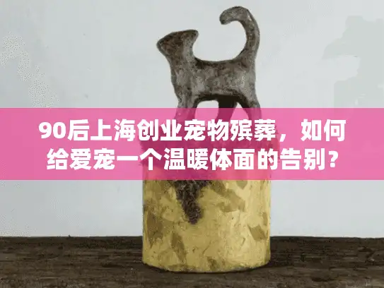 90后上海创业宠物殡葬，如何给爱宠一个温暖体面的告别？