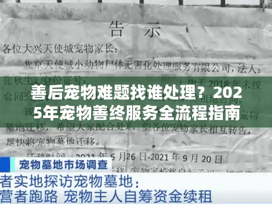 善后宠物难题找谁处理？2025年宠物善终服务全流程指南