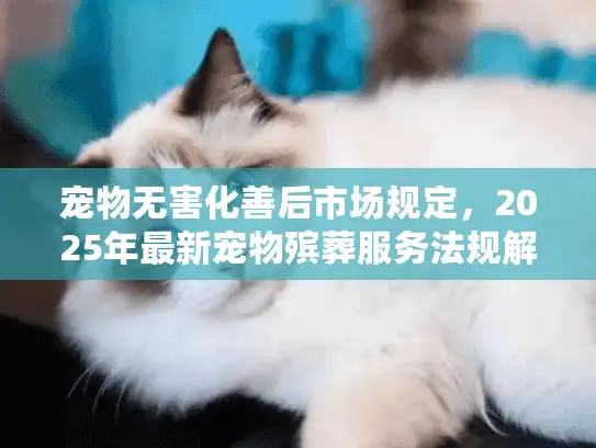 宠物无害化善后市场规定，2025年最新宠物殡葬服务法规解读？