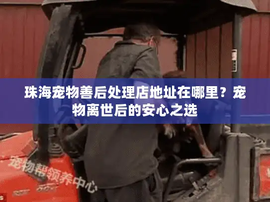 珠海宠物善后处理店地址在哪里？宠物离世后的安心之选