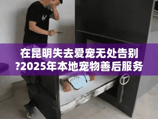 在昆明失去爱宠无处告别?2025年本地宠物善后服务机构真实测评