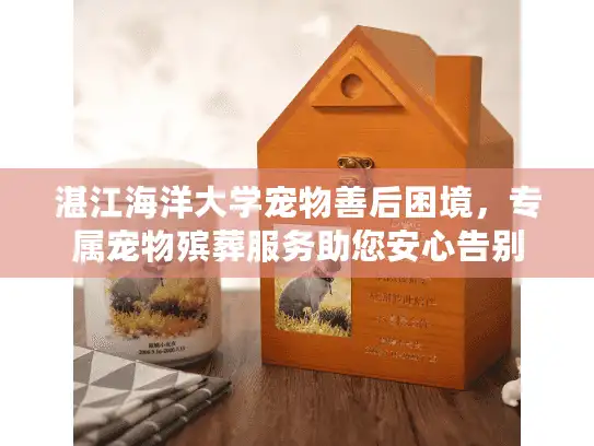 湛江海洋大学宠物善后困境，专属宠物殡葬服务助您安心告别