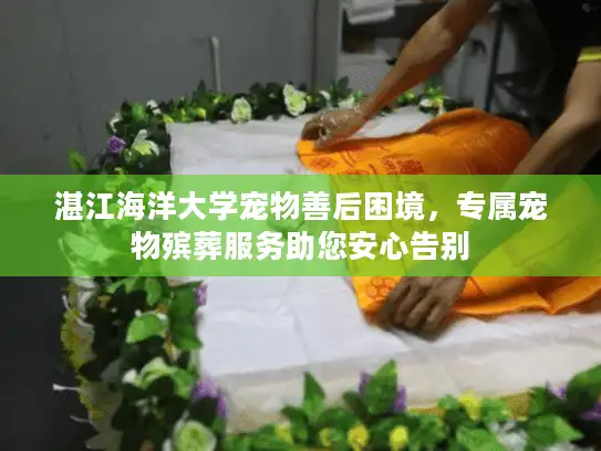 湛江海洋大学宠物善后困境，专属宠物殡葬服务助您安心告别