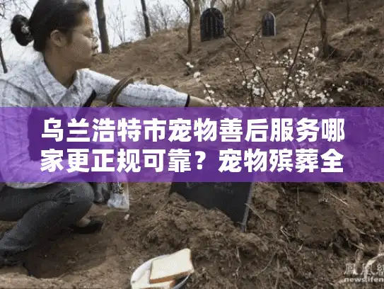 乌兰浩特市宠物善后服务哪家更正规可靠？宠物殡葬全流程详解