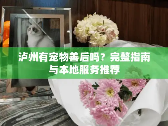 泸州有宠物善后吗？完整指南与本地服务推荐