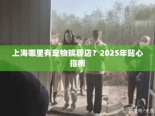 上海哪里有宠物殡葬店？2025年贴心指南