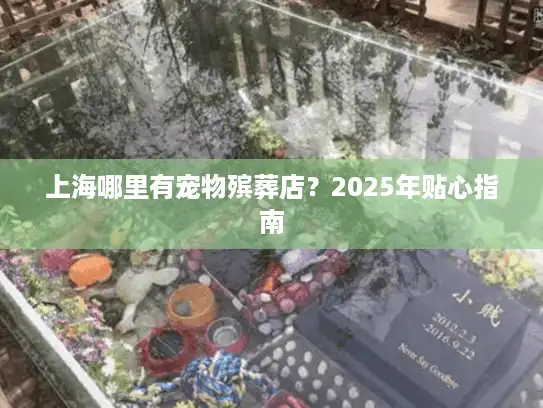 上海哪里有宠物殡葬店？2025年贴心指南