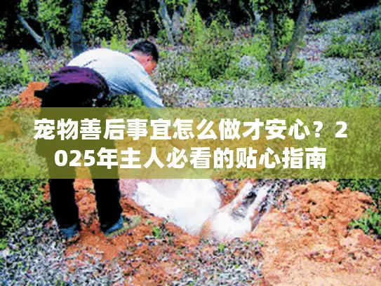 宠物善后事宜怎么做才安心？2025年主人必看的贴心指南