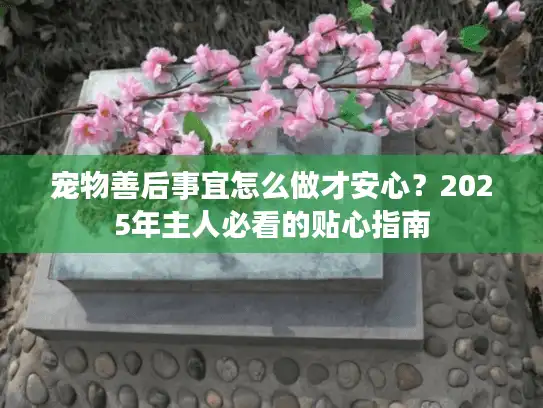 宠物善后事宜怎么做才安心？2025年主人必看的贴心指南