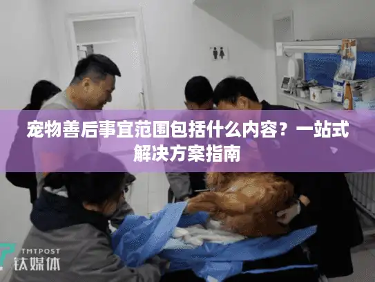 宠物善后事宜范围包括什么内容？一站式解决方案指南