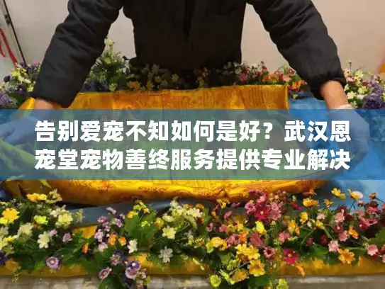 告别爱宠不知如何是好？武汉恩宠堂宠物善终服务提供专业解决方案