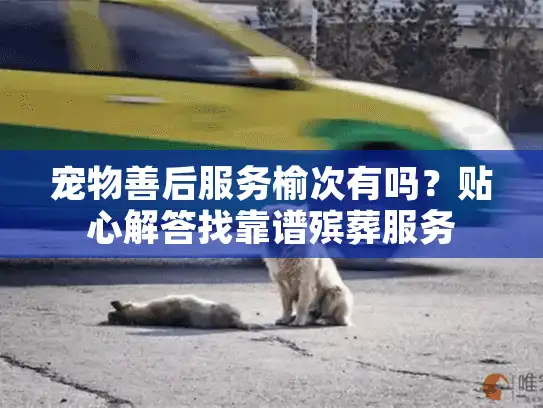 宠物善后服务榆次有吗？贴心解答找靠谱殡葬服务