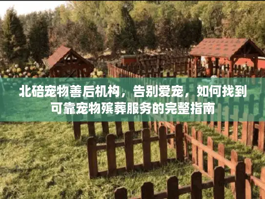 北碚宠物善后机构，告别爱宠，如何找到可靠宠物殡葬服务的完整指南