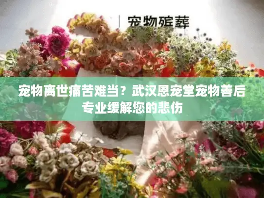 宠物离世痛苦难当？武汉恩宠堂宠物善后专业缓解您的悲伤