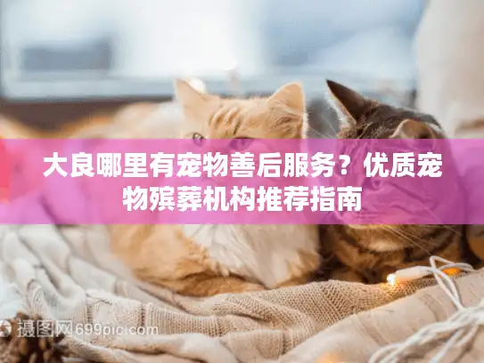 大良哪里有宠物善后服务？优质宠物殡葬机构推荐指南