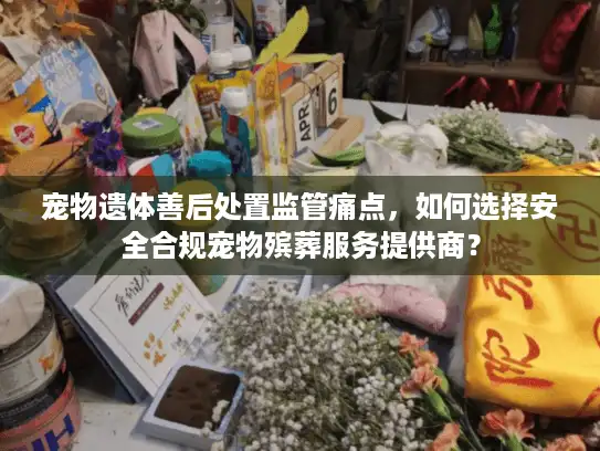 宠物遗体善后处置监管痛点，如何选择安全合规宠物殡葬服务提供商？