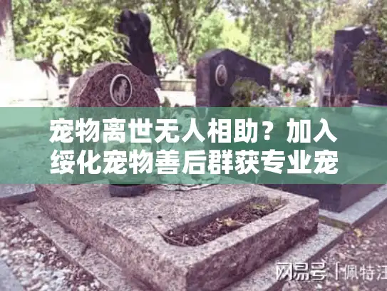 宠物离世无人相助？加入绥化宠物善后群获专业宠物殡葬服务