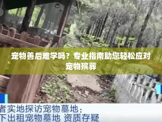 宠物善后难学吗？专业指南助您轻松应对宠物殡葬