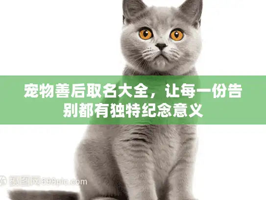 宠物善后取名大全，让每一份告别都有独特纪念意义
