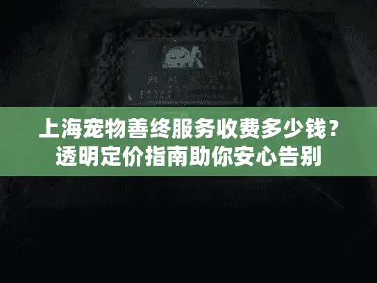 上海宠物善终服务收费多少钱？透明定价指南助你安心告别