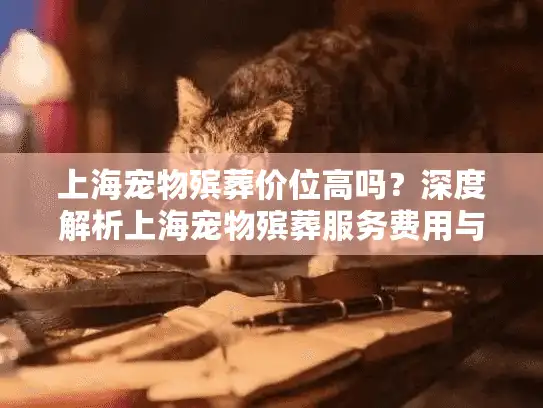 上海宠物殡葬价位高吗？深度解析上海宠物殡葬服务费用与省钱攻略