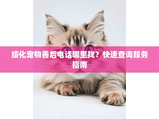 绥化宠物善后电话哪里找？快速查询服务指南