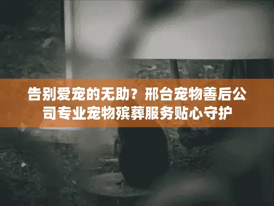 告别爱宠的无助？邢台宠物善后公司专业宠物殡葬服务贴心守护