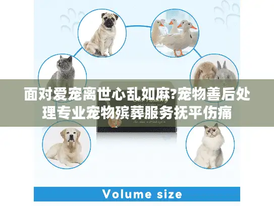 面对爱宠离世心乱如麻?宠物善后处理专业宠物殡葬服务抚平伤痛