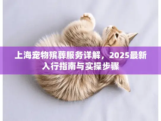 上海宠物殡葬服务详解，2025最新入行指南与实操步骤