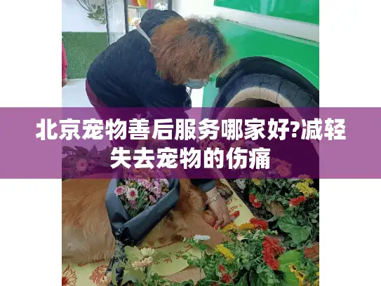 北京宠物善后服务哪家好?减轻失去宠物的伤痛