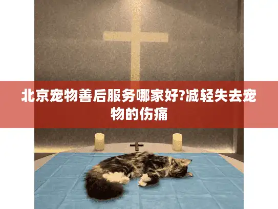 北京宠物善后服务哪家好?减轻失去宠物的伤痛