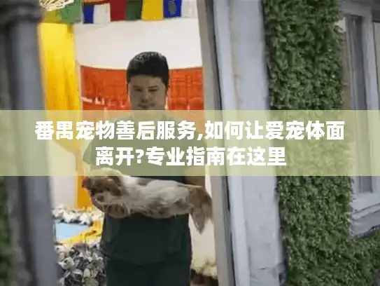 番禺宠物善后服务,如何让爱宠体面离开?专业指南在这里