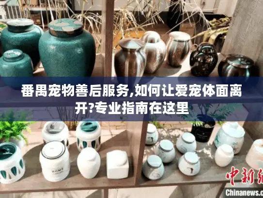 番禺宠物善后服务,如何让爱宠体面离开?专业指南在这里