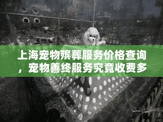 上海宠物殡葬服务价格查询，宠物善终服务究竟收费多少？