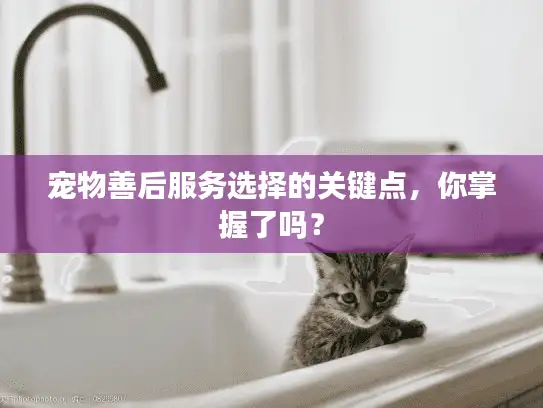 宠物善后服务选择的关键点，你掌握了吗？
