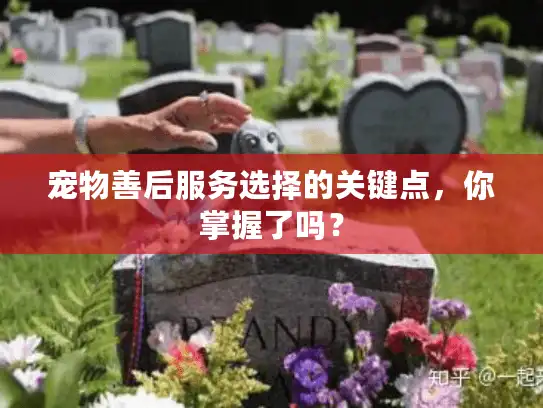 宠物善后服务选择的关键点，你掌握了吗？