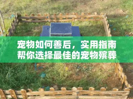 宠物如何善后，实用指南帮你选择最佳的宠物殡葬服务