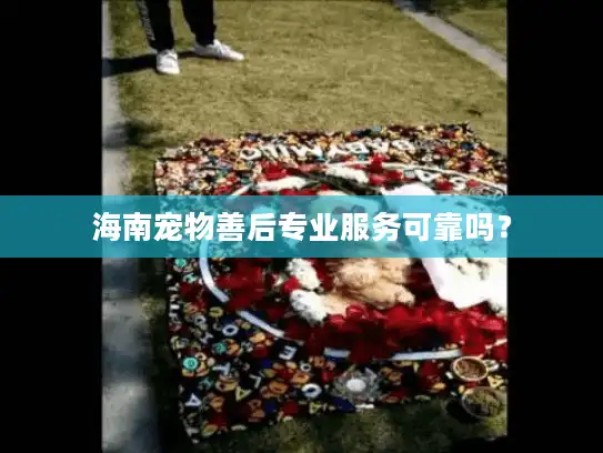 海南宠物善后专业服务可靠吗？