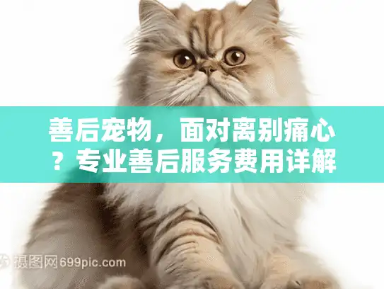 善后宠物，面对离别痛心？专业善后服务费用详解