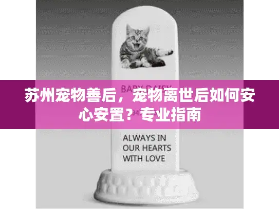 苏州宠物善后，宠物离世后如何安心安置？专业指南