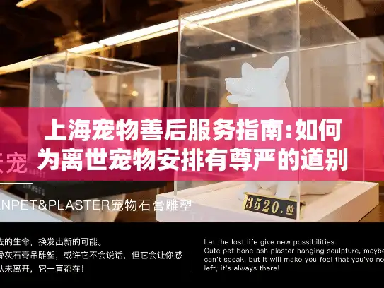 上海宠物善后服务指南:如何为离世宠物安排有尊严的道别